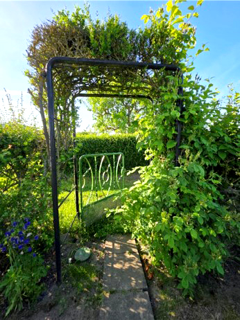 "Wurzeln schlagen" im Schrebergarten